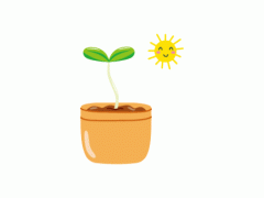 多肉植物開(kāi)花不好？這是為什么，開(kāi)的話如何養(yǎng)護(hù)