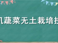有機蔬菜無土栽培技術