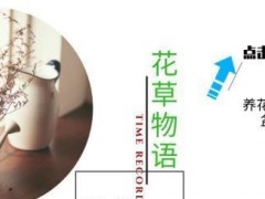 多肉植物別急著“露養”，大神教你做好“4準備”，可以減少空盆