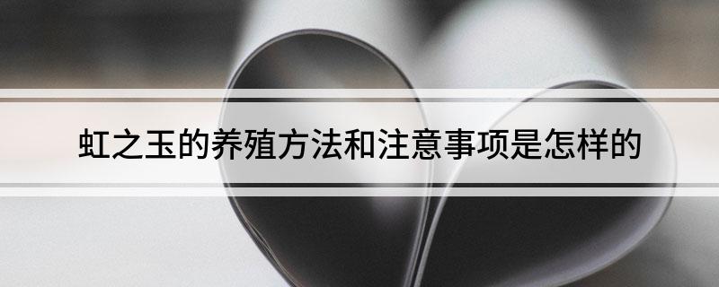 多肉虹之玉的養(yǎng)殖方法和注意事項_多肉虹之玉的養(yǎng)殖_虹之玉多肉怎么養(yǎng)殖視頻大全