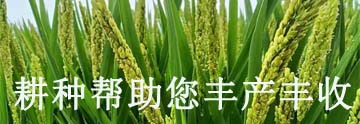 常用有機磷農藥_常見的有機磷農藥有哪些_有機磷類農藥種類