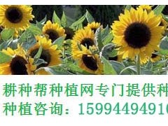 盤點(diǎn)有機(jī)磷常見農(nóng)藥有哪些