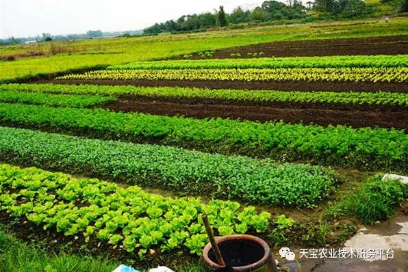 農藥堿性還是酸性_農藥堿性藥物都有哪些名稱_堿性農藥