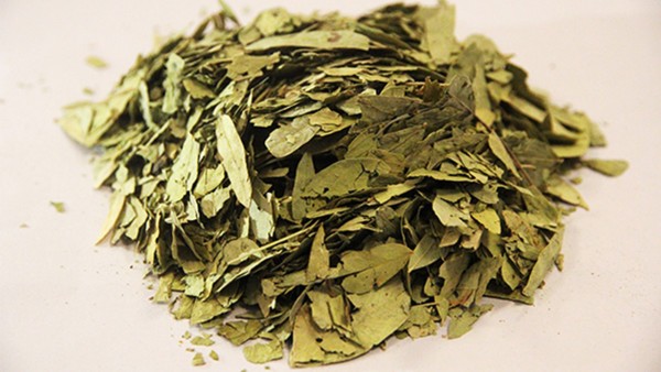 藥材除濕氣好中藥有哪些_藥材除濕氣好中醫治療嗎_除濕氣最好中藥材