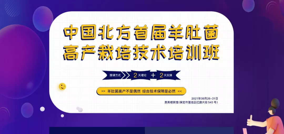 羊肚菌種植技術_羊肚菌種植技術書_種植羊肚菌肚技術方法