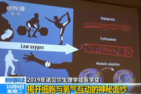 【资讯直播间】2019年诺贝尔生理学或医学奖：揭开细胞与氧气互动的神秘面纱